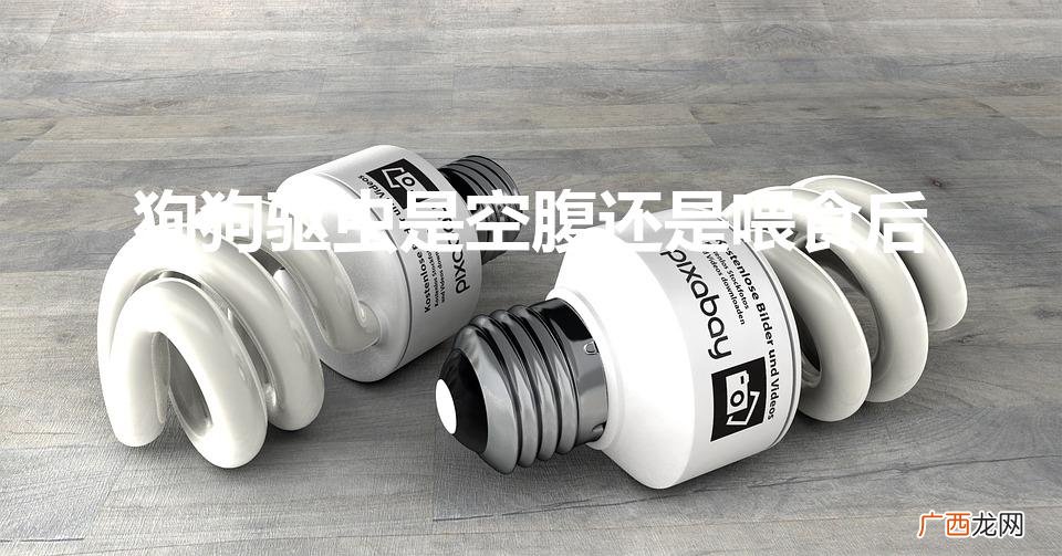 给狗狗驱虫是否先禁食 狗狗驱虫是空腹还是喂食后