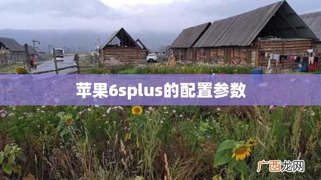 苹果6splus的配置参数