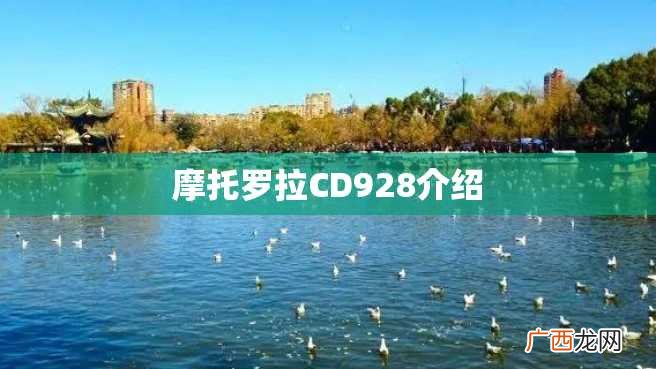 摩托罗拉CD928介绍