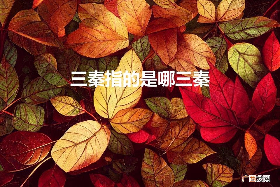 陕西三秦指的是哪三秦 三秦指的是哪三秦