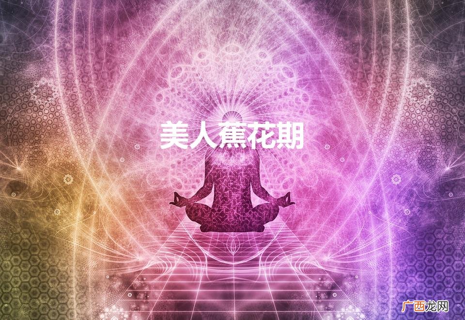美人蕉什么时候开放呀 美人蕉花期