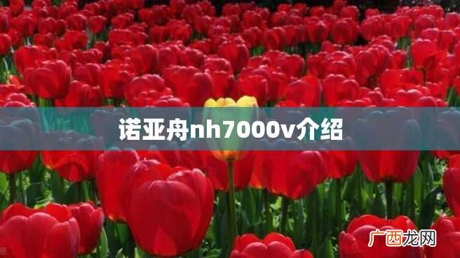 诺亚舟nh7000v介绍