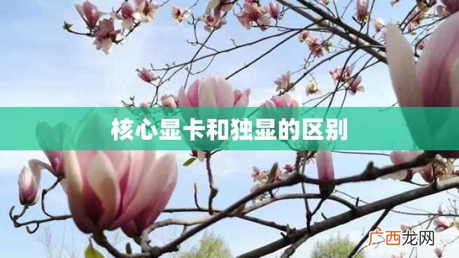核心显卡和独显的区别