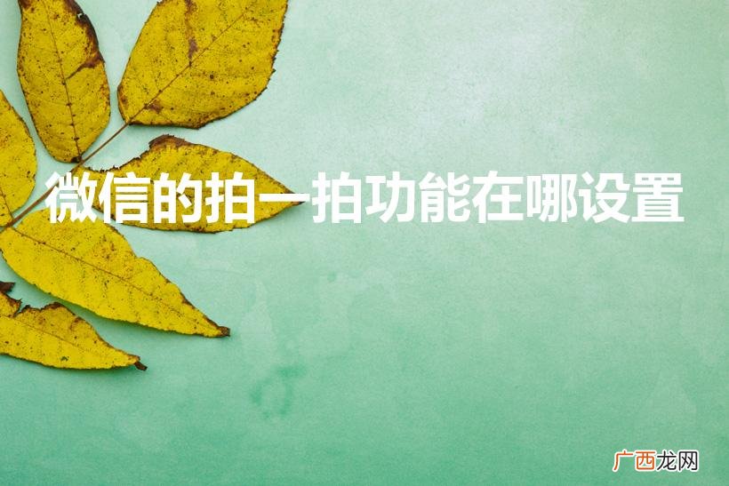 微信拍一拍功能在哪里设置 微信的拍一拍功能在哪设置