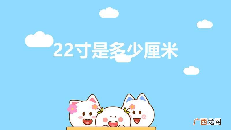22寸电脑是多少厘米,宽 22寸是多少厘米