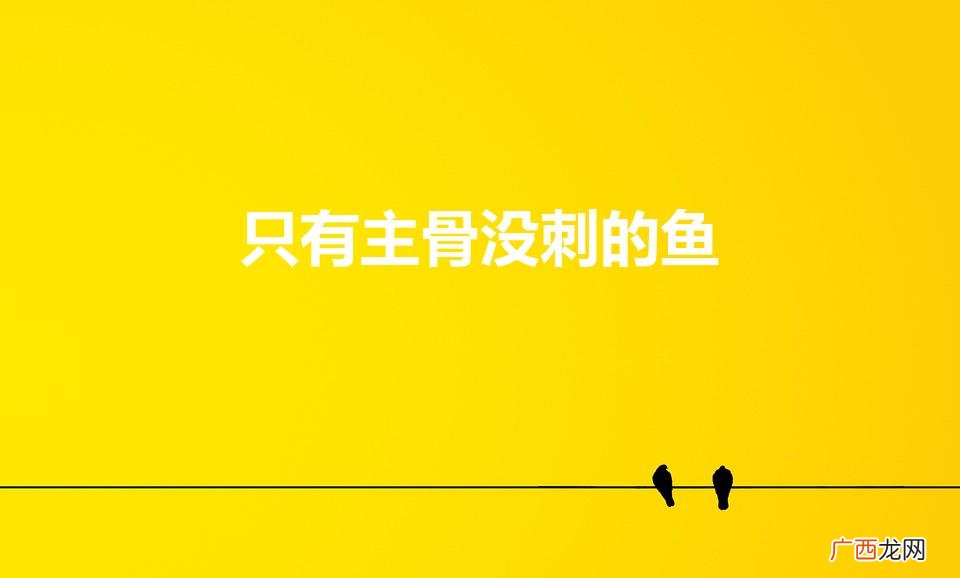 没有刺的鱼叫什么名字 只有主骨没刺的鱼