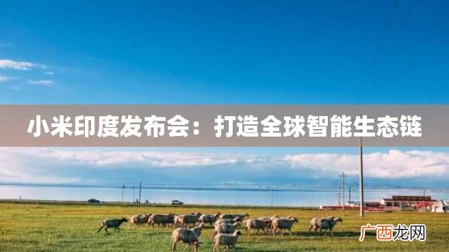 小米印度发布会：打造全球智能生态链