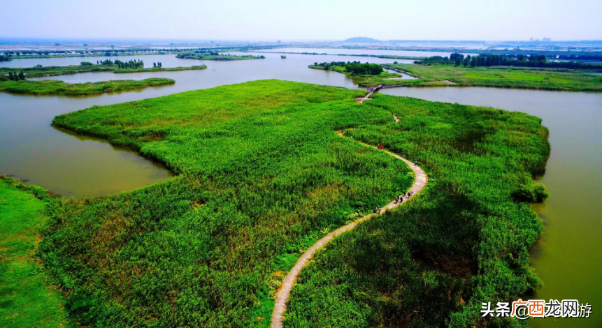 常州旅游必去十大景点免费 常州旅游必去十大景点