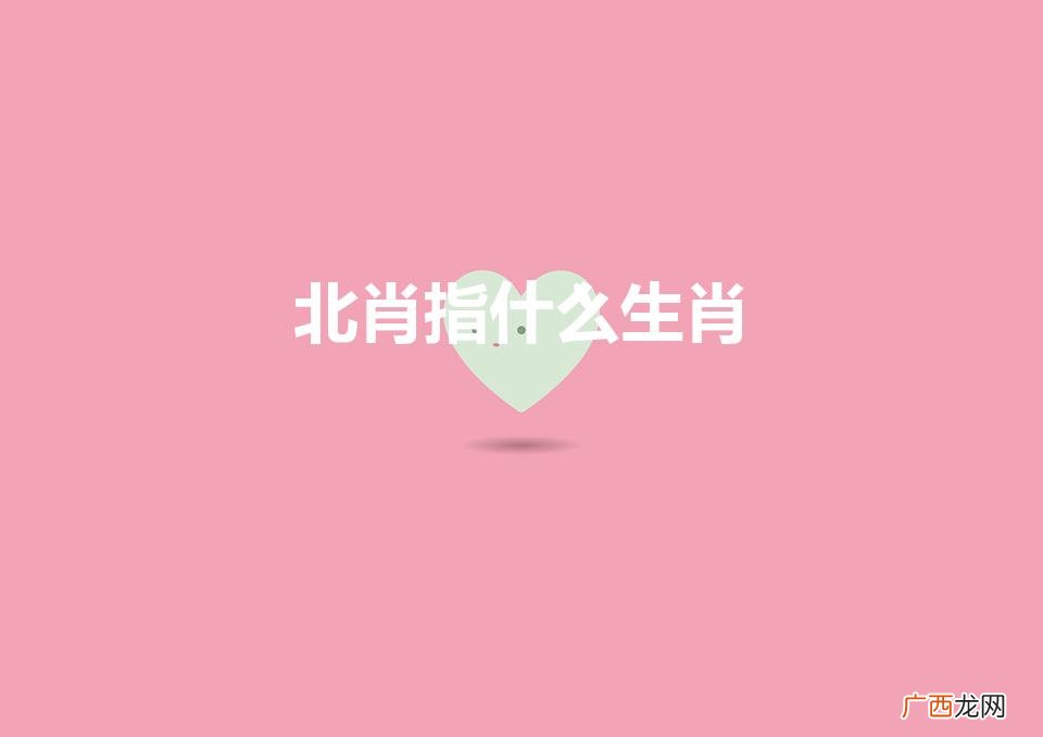 东南西北肖是什么生肖 北肖指什么生肖