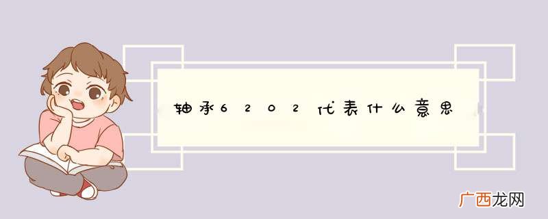 轴承6202代表什么意思
