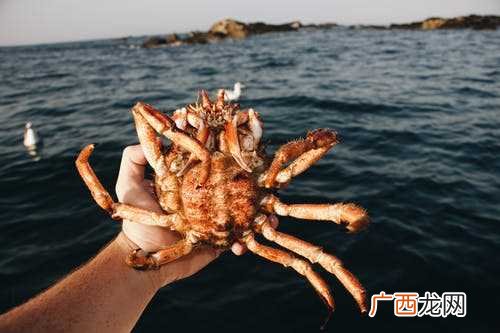 梦见大螃蟹是什么意思