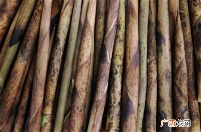 “且食勿踟蹰 南风吹作竹 ”不可错过的刮油神器 播
