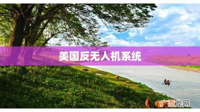 美国反无人机系统