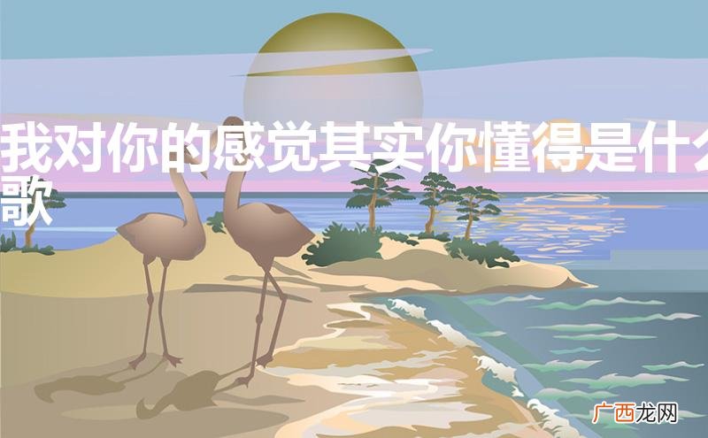 歌词我对你的感觉其实你懂得是什么歌 我对你的感觉其实你懂得是什么歌