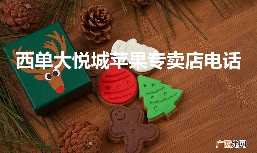 苹果手机售后服务网点 西单大悦城苹果专卖店电话