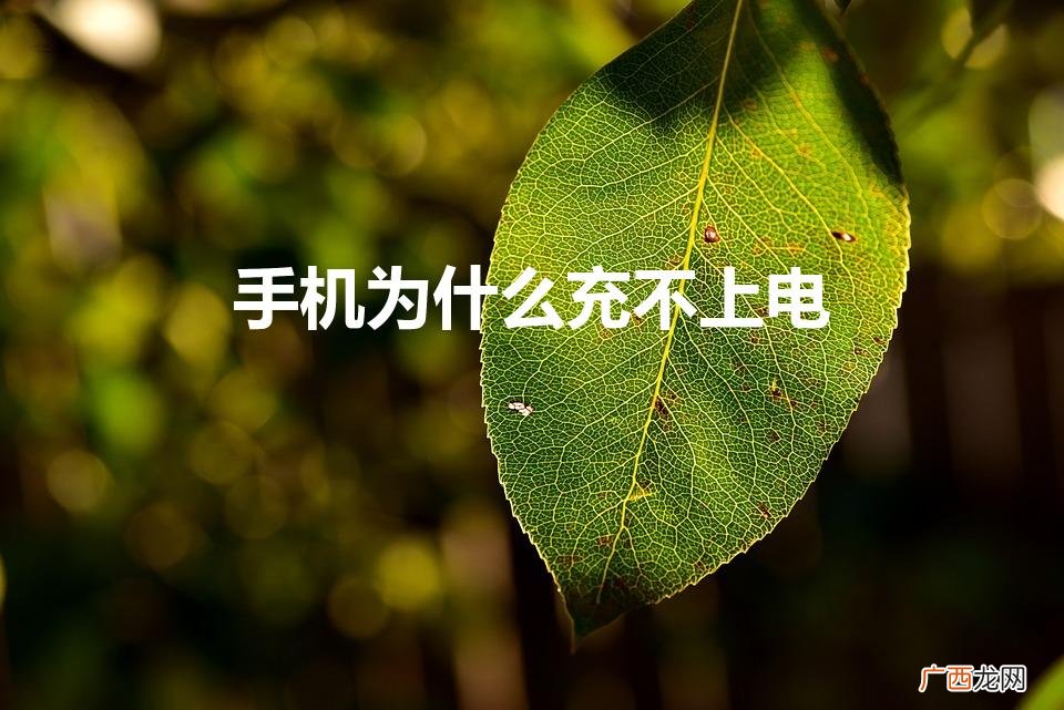 手机为什么充不上电了 手机为什么充不上电