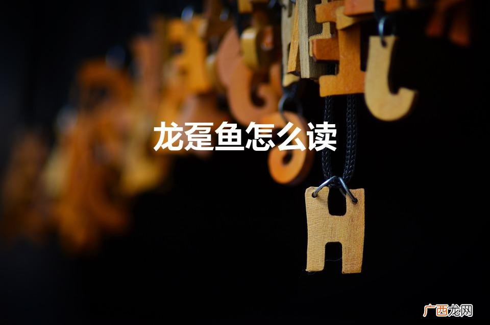 龙趸怎么读 龙趸鱼怎么读