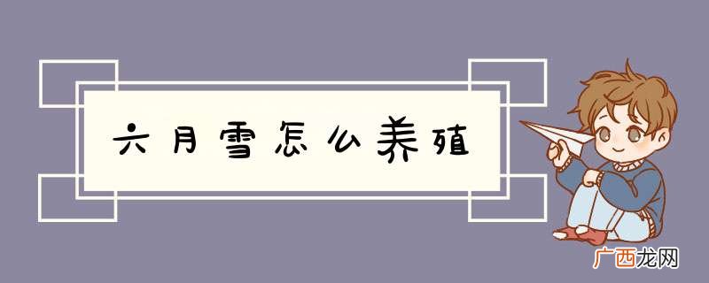 六月雪怎么养殖