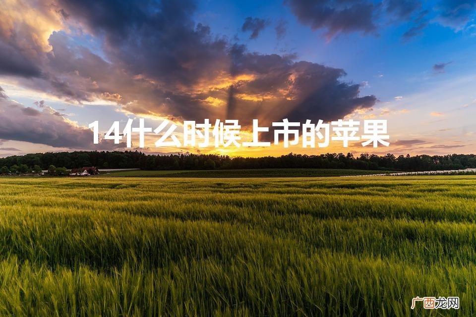 苹果14什么时候上市的 14什么时候上市的苹果