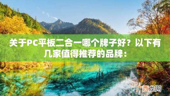 关于PC平板二合一哪个牌子好？以下有几家值得推荐的品牌：