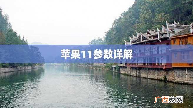 苹果11参数详解