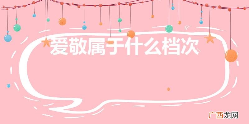 爱敬和圣罗兰是一个档次吗 爱敬属于什么档次
