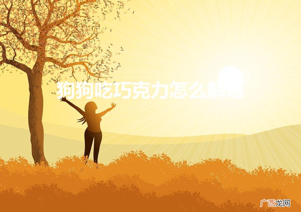 狗狗误食巧克力怎么救？ 狗狗吃巧克力怎么解毒