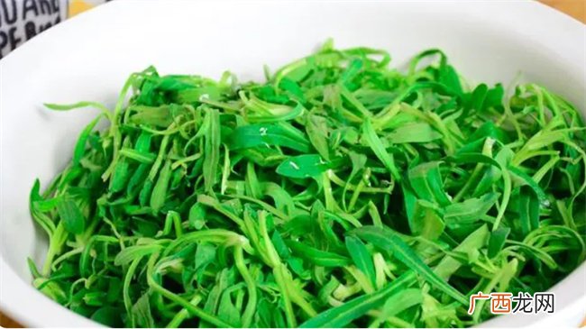 为什么河南人这么喜欢吃蒸菜 蒸菜的好处确实很多 天天都吃不腻