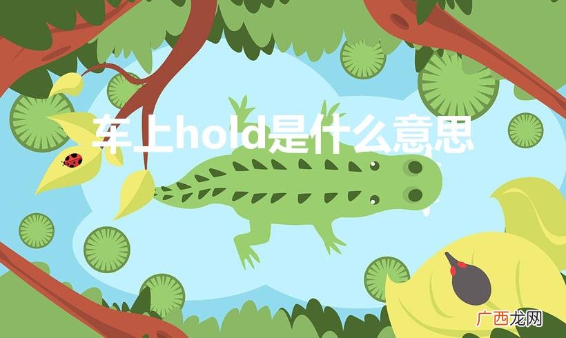 汽车上HOLD是什么意思 车上hold是什么意思