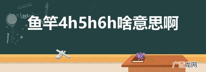 手竿4h5h6h是什么意思 鱼竿4h5h6h啥意思啊