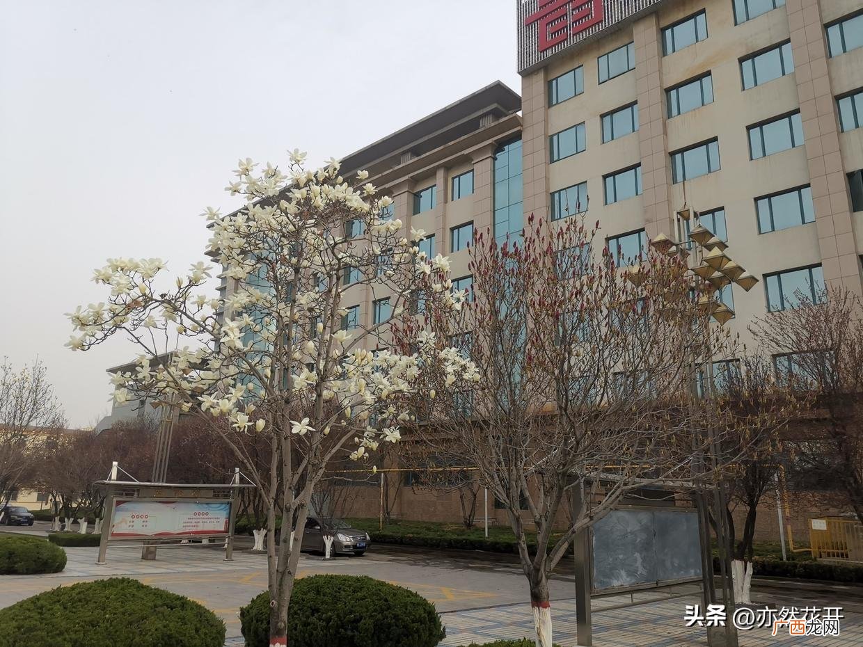 常见会议纪分类与写作要点 会议记录的特点