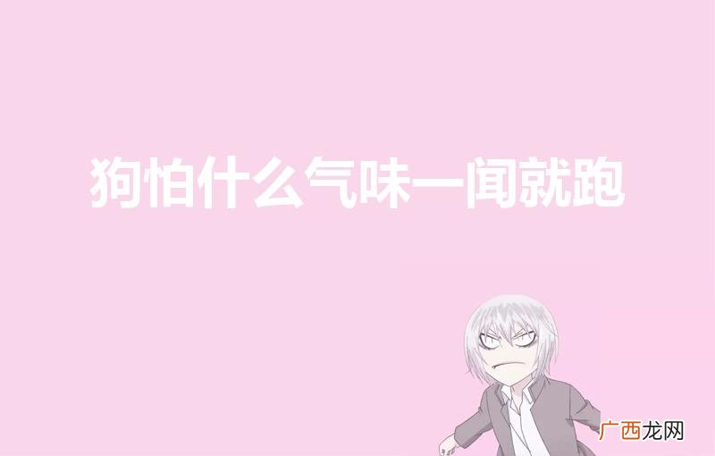 狗怕什么气味一闻就跑