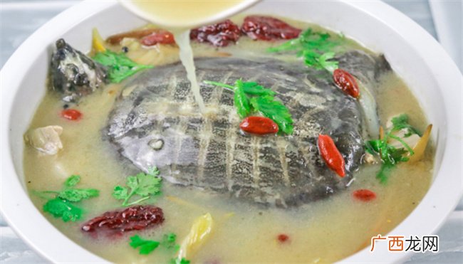 甲鱼怎样煲汤好喝 甲鱼煲汤有什么功效