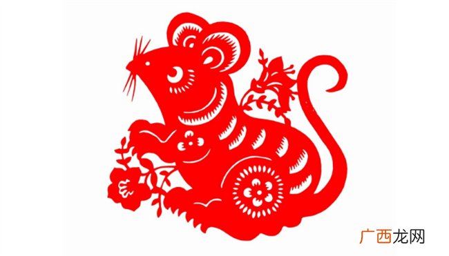 婚后更容易成功的生肖是什么 婚后更容易失败的生肖是什么