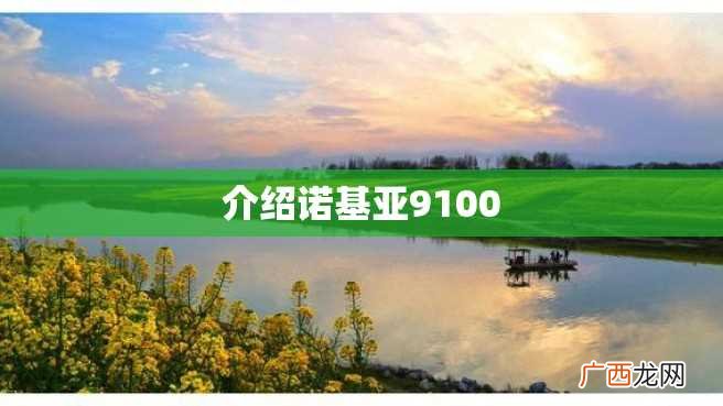 介绍诺基亚9100