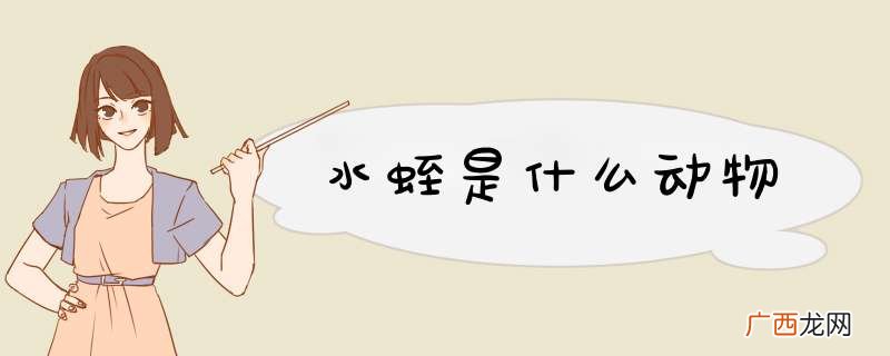 水蛭是什么动物