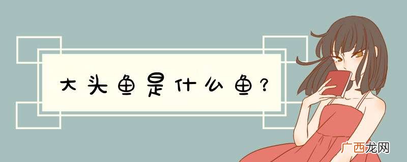 大头鱼是什么鱼？