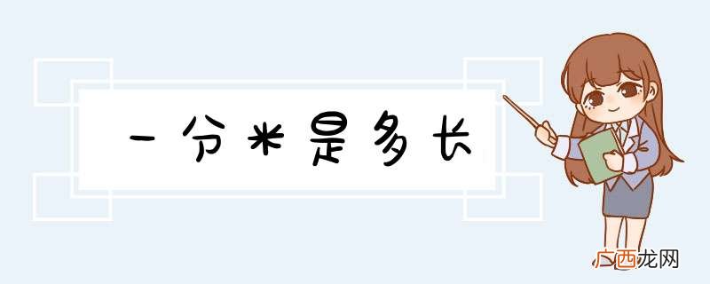 一分米是多长