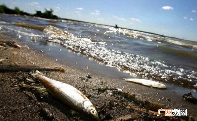 ?核污水排海韩国已出现哪些连锁反应