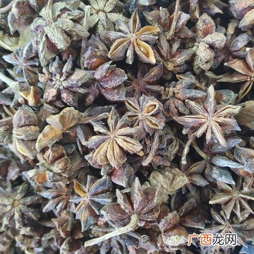 大料是什么树上长的食材 大料是什么调料
