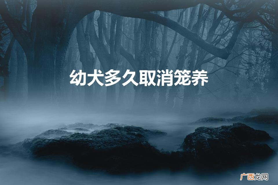 幼犬到家关笼子多久能放出来 幼犬多久取消笼养