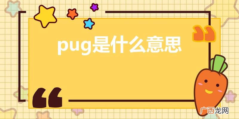 网络中现在流行的PUG是什么意思 pug是什么意思