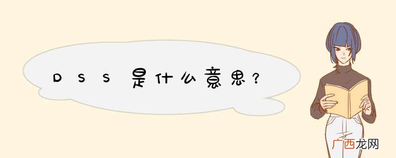 DSS是什么意思？