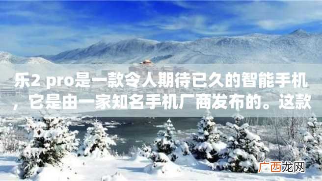 乐2 pro是一款令人期待已久的智能手机，它是由一家知名手机厂商发布的。这款手机有哪些特点，它能为日常生活带来哪些便利呢？下面就让我们一同来看看吧。