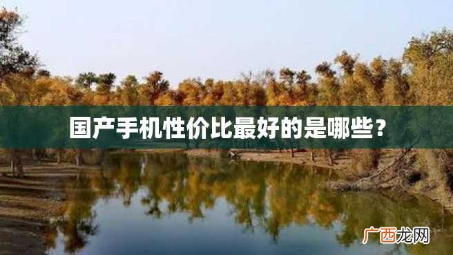 国产手机性价比最好的是哪些？