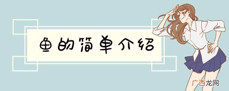 鱼的简单介绍