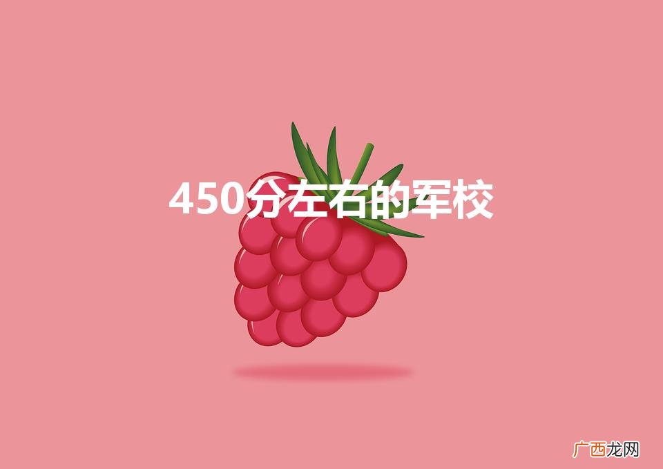 450分二本军校名单 450分左右的军校