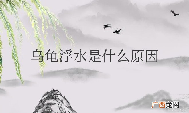 乌龟浮水是什么原因造成的