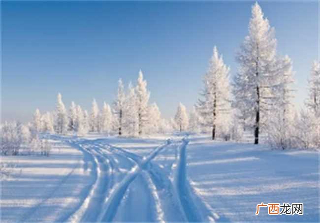 2023年冬天的雪到底多不多 2023年冬天的雪多不多