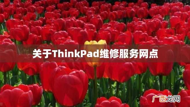 关于ThinkPad维修服务网点